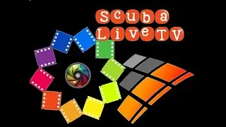 Orca Diving Center 2021 - PADI 5 STAR
