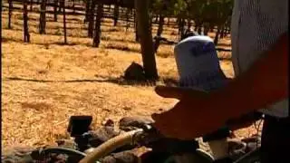 Proper Irrigation for Vineyards