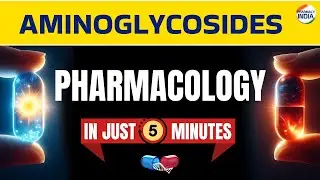Aminoglycosides Pharmacology | Adverse Effects | Use | Mode Of Action In 5 Minutes #pharma