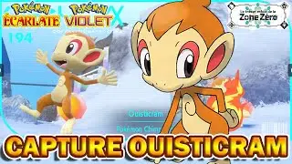 CAPTURER LE STARTER OUISTICRAM | Pok&eacute;mon Violet & &Eacute;carlate [ DLC Disque Indigo ]
