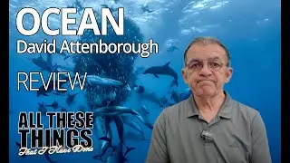Ocean Film Review &ndash; David Attenborough&rsquo;s Message We Can&rsquo;t Ignore