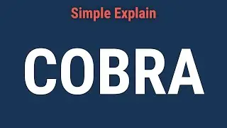 What Is the Consolidated Omnibus Budget Reconciliation Act (COBRA)?