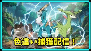 ブイズ縛りの旅！冠の雪原　色違い　～サクッと出します！呪いに勝つ！～　#7-18 【ポケモン剣盾】