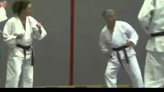 Tura Image   Karate 2