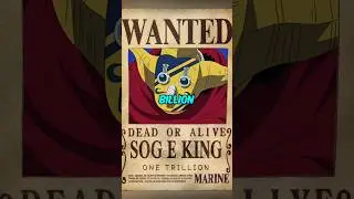 Why Bounties Exist in one piece?