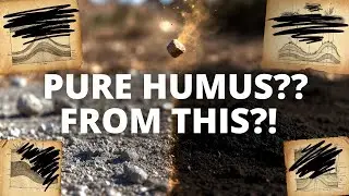 This Kitchen Scrap Will Turn Your Dead Soil to Pure Humus