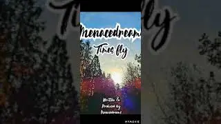 life flies