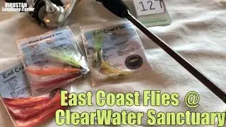 Peacock Bass Frenzy, East Coast Flies @ ClearWater Sanctuary Batu Gajah Perak, Malaysia