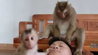 Nui and Poni continue to play with Dad and the dog Bo | Nui Family