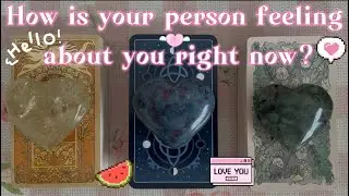 How Is Your Person Feeling About You Right Now? 💗 Timeless Pick A Card Reading ❤️&zwj;🩹