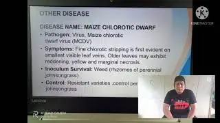 Disease, Harvest and Post- harvest