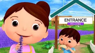 Lovely Family Picnic 🌸 Fun with Flowers! | 👼Little Baby Bum - Preschool Playhouse