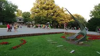 Sony Xperia 1 II Camera Test: 4K Video Sample