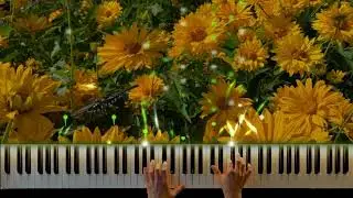 Butterflies @TalyaPozniy piano