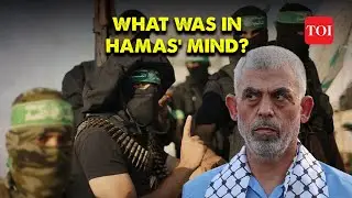 Hamas's Failed Prison Break: Navigation Error Thwarts Attack on Shikma