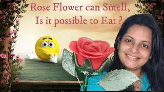 🌹റോസപ്പുവ് മണക്കാൻ പറ്റും, പക്ഷെ കഴിക്കാൻ പറ്റുമോ? 🤔|Edible Rose Flower|#shorts
