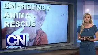 July 8, 2021 Newscast | Cronkite News