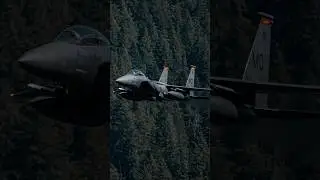 😳LOW F-15 Flyby #f15 #f15eagle #planespotting #aviation #fighterjet #avgeek #airforce #machloop