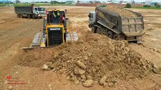 Power Extreme Ability Shantui Dozer Pushing Land​​ Equipment Dump Truck Spreading