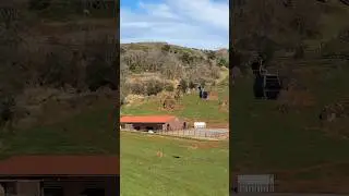 Recinto de los elefantes - Parque de Cabarceno