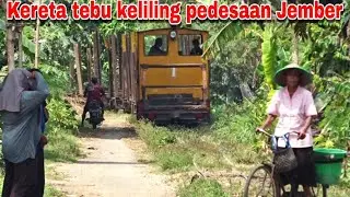 kereta tebu keliling pedesaan Jember  || PG Semboro