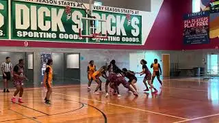 Aimhigh lady hoops vs Rose city