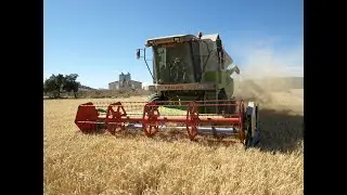 Comienza la cosecha de cebada //  #1