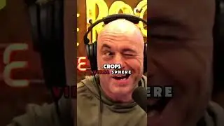 Joe Rogan Reveals USAID Corruption  #joerogan #joeroganexperience