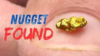 Thats a GOLD NUGGET in my pan AMAZING #goldpanning find