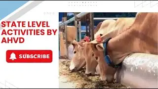 Transforming Assam&rsquo;s Livestock Sector | State-Level Initiatives by Animal Husbandry Dept, Assam