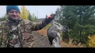 Marshall lake hunting, BC. Oct. 01, 2021