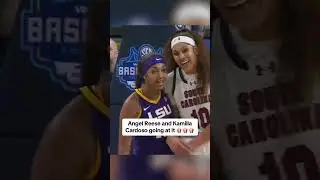 LSU vs. South Carolina gets tense EARLY 🔥 #shorts