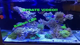 JBJ 45G RL (Update video with Radio LED)