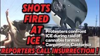Ice Agents Raid Farm #viralvideo #reaction #trending #news #video #story 