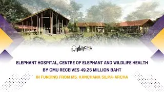 Elephant Hospital, Centre of Elephant and Wildlife Health by CMU Receives 49.25 Million Baht