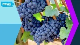 Jeni and Olly's West Coast Wine Adventure