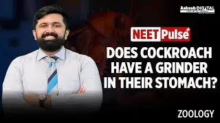 Does a Cockroach Have a Grinder in Its Stomach? | NEET Zoology Explained