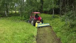 Massey Ferguson 35 med betesputs