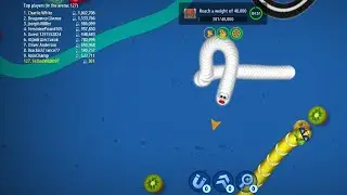 worms zone online game play