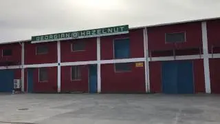 GEONUTS FACTORY