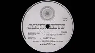 Sentiments - Because I Do Music [GRVDG002]