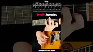 10 Levels of Malague&ntilde;a - Guitar TAB Tutorial