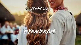 🌲🥁 PENDRIVE - Szumi Gaj 🎶🔥 | 💃 FOLK BIESIADA REMIX x HANDSUP x VIXA ⚡