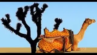 The Thar Desert - Deserts and Life ✪ Special Documentaries HD