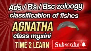 Classification of fishes/ group Agnatha/Agnathans/ class myxini