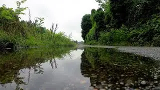 RelaxVerse  Chuva calma em uma Po&ccedil;a de &aacute;gua, para aliviar o stress, ajudar a se concentrar ou dormir