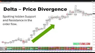 Delta Price Action Divergence On Orderflows Trader 7 For NinjaTrader 8 Order Flow Trading Strategy