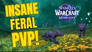 [Midnight BETA] WoW PvP INSANE BLEEDS - Feral Druid