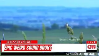 Unexplained sounds (Thanos beatbox meme)