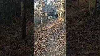 Hiking in the fall
